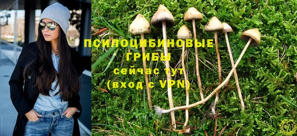 амф Баксан