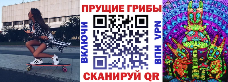 магазин продажи наркотиков  ссылка на мегу сайт  Псилоцибиновые грибы GOLDEN TEACHER  Томари 
